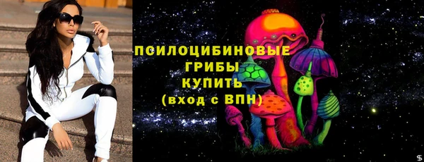 ешки Алексин