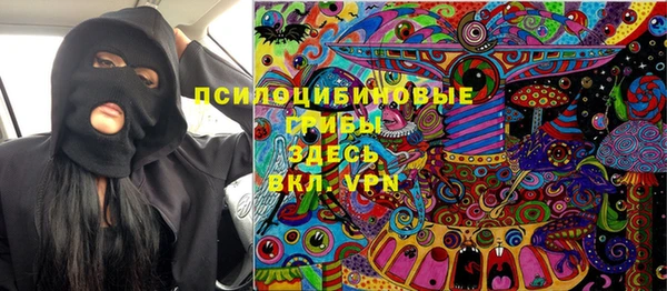 гидра Абаза