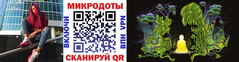 мега   Павловский Посад  Галлюциногенные грибы Cubensis 